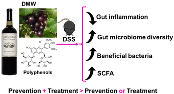 Graphical abstract: Retracted Article: Dealcoholized muscadine wine was partially effective in preventing and treating dextran sulfate sodium-induced colitis and restoring gut dysbiosis in mice