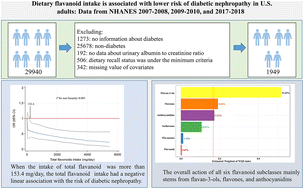 Graphical abstract: Dietary flavonoid intake is associated with a lower risk of diabetic nephropathy in US adults: data from NHANES 2007–2008, 2009–2010, and 2017–2018