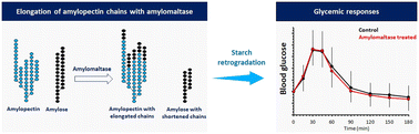 Graphical abstract: Promotion of starch retrogradation by enzymatic elongation of amylopectin chains does not reduce glycemic responses: a randomized cross-over clinical trial