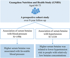 Graphical abstract: Associations of serum betaine with blood pressure and hypertension incidence in middle-aged and older adults: a prospective cohort study