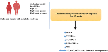 Graphical abstract: Theobromine supplementation in combination with a low-calorie diet improves cardiovascular risk factors in overweight and obese subjects with metabolic syndrome: a randomized controlled trial