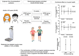 Graphical abstract: Combined effect of polycan, a β-glucan from Aureobasidium pullulans, and regular resistance exercise on muscle strength, biomarkers, and fitness profiles in adults with relatively low skeletal muscle mass: a randomised controlled trial
