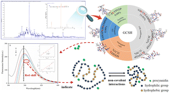 Graphical abstract: Structure relationship of non-covalent interactions between lotus seedpod oligomeric procyanidins and glycated casein hydrolysate during digestion