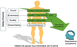 Graphical abstract: Association between all aspects of dietary diversity and risk of depressive symptoms in US adults