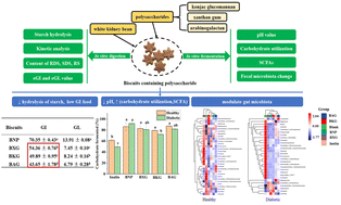 Graphical abstract: Effects of xanthan gum, konjac glucomannan, and arabinogalactan on the in vitro digestion and fermentation characteristics of biscuits