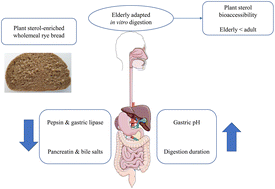 Graphical abstract: Aging-related gastrointestinal conditions decrease the bioaccessibility of plant sterols in enriched wholemeal rye bread: in vitro static digestion