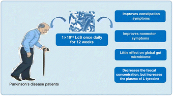 Graphical abstract: Effect of Lacticaseibacillus paracasei strain Shirota supplementation on clinical responses and gut microbiome in Parkinson's disease