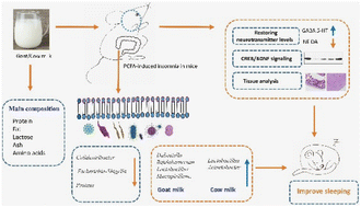 Graphical abstract: Goat and cow milk differ in altering the microbiota composition and neurotransmitter levels in insomnia mouse models