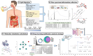 Graphical abstract: Lactobacillus casei-derived postbiotics inhibited digestion of triglycerides, glycerol phospholipids and sterol lipids via allosteric regulation of BSSL, PTL and PLA2 to prevent obesity: perspectives on deep learning integrated multi-omics