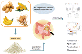 Graphical abstract: Meta-analysis reveals gut microbiome and functional pathway alterations in response to resistant starch