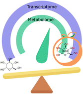 Graphical abstract: Metabolic regulation and antihyperglycemic properties of diet-derived PGG through transcriptomic and metabolomic profiling