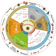 Graphical abstract: Advances in the preparation and application of microencapsulation to protect food functional ingredients