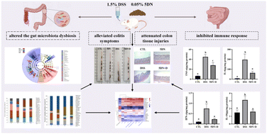 Graphical abstract: Dietary 5-demethylnobiletin attenuated dextran sulfate sodium-induced colitis in mice by inhibiting immune response and regulating gut microbiota