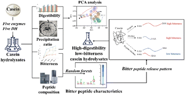 Graphical abstract: Enzymatic preparation of casein hydrolysates with high digestibility and low bitterness studied by peptidomics and random forests analysis