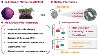 Graphical abstract: Red cabbage microgreen modulation of gut microbiota is associated with attenuation of diet-induced obesity risk factors in a mouse model