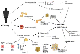 Graphical abstract: Microbiota dysbiosis caused by dietetic patterns as a promoter of Alzheimer's disease through metabolic syndrome mechanisms