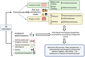 Graphical abstract: Associations of dietary factors and xenobiotic intake with faecal microbiota composition according to the presence of intestinal mucosa damage