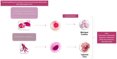 Graphical abstract: Betacyanins obtained from alternative novel sources as natural food colorant additives: incorporated in savory and sweet food products