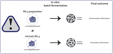 Graphical abstract: Presence of digestible starch impacts in vitro fermentation of resistant starch