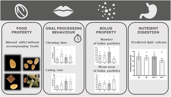 Graphical abstract: Consuming almonds with chocolate or lettuce influences oral processing behaviour, bolus properties and consequently predicted lipid release from almonds