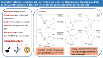 Graphical abstract: Association between low-sodium salt intervention and long-term blood pressure changes is modified by ENaC genetic variation: a gene–diet interaction analysis in a randomized controlled trial