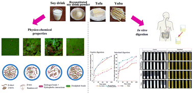Graphical abstract: In vitro protein digestibility of different soy-based products: effects of microstructure, physico–chemical properties and protein aggregation