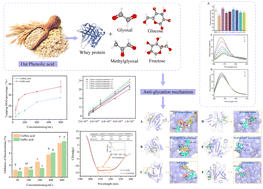 Graphical abstract: The binding mechanism of oat phenolic acid to whey protein and its inhibition mechanism against AGEs as revealed using spectroscopy, chromatography and molecular docking