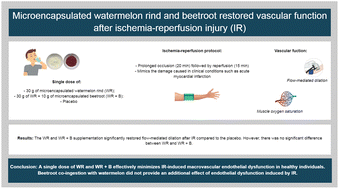 Graphical abstract: The effect of microencapsulated watermelon rind (Citrullus lanatus) and beetroot (Beta vulgaris L.) ingestion on ischemia/reperfusion-induced endothelial dysfunction: a randomised clinical trial