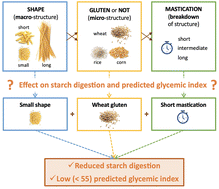 Graphical abstract: Effect of shape, gluten, and mastication effort on in vitro starch digestion and the predicted glycemic index of pasta