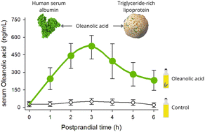 Graphical abstract: Bioavailability and systemic transport of oleanolic acid in humans, formulated as a functional olive oil