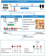 Graphical abstract: Fried food consumption, genetic risk, and incident obesity: a prospective study