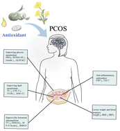 Graphical abstract: Efficacy of antioxidant supplementation in improving endocrine, hormonal, inflammatory, and metabolic statuses of PCOS: a meta-analysis and systematic review