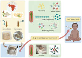 Graphical abstract: Designing sustainable weaning foods for developing countries: not only a matter of nutrients