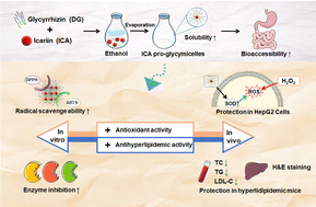 Graphical abstract: Simple and novel icariin-loaded pro-glycymicelles as a functional food: physicochemical characteristics, in vitro biological activities, and in vivo experimental hyperlipidemia prevention evaluations