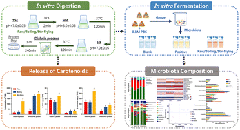 Graphical abstract: Effects of different processed tomatoes on carotenoid release and microbiota composition during in vitro gastrointestinal digestion and colonic fermentation