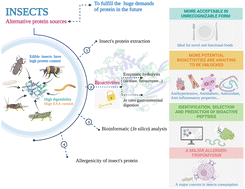 Graphical abstract: Current state of insect proteins: extraction technologies, bioactive peptides and allergenicity of edible insect proteins