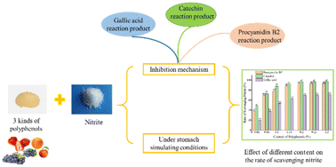 Graphical abstract: Inhibitory effects and reactions of gallic acid, catechin, and procyanidin B2 with nitrosation under stomach simulating conditions