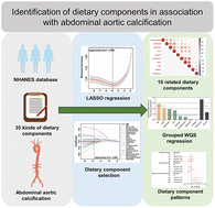 Graphical abstract: Identification of dietary components in association with abdominal aortic calcification