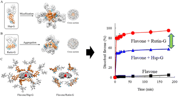 Graphical abstract: Unveiling the flavone-solubilizing effects of α-glucosyl rutin and hesperidin: probing structural differences through NMR and SAXS analyses