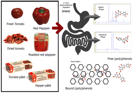 Graphical abstract: Effect of the food matrix on the (poly)phenol stability of different plant-based meat products and their main ingredients after in vitro gastrointestinal digestion