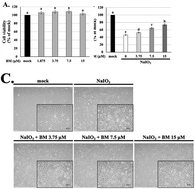 Graphical abstract: The protective effects of beta-mangostin against sodium iodate-induced retinal ROS-mediated apoptosis through MEK/ERK and p53 signaling pathways