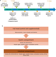 Graphical abstract: Utilizing the influence of protein enrichment of meal components as a strategy to possibly prevent undernutrition in the elderly: an in vitro approach