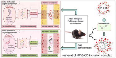 Graphical abstract: Integrated multi-omics profiling highlights the benefits of resveratrol hydroxypropyl-β-cyclodextrin inclusion complex for A53T transgenic mice through the microbiota–gut–brain axis