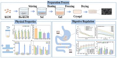 Graphical abstract: Preparation of a novel expandable konjac fiber at different freezing temperatures and exploration of its digestion regulation functions