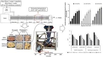 Graphical abstract: Understanding the physical breakdown and catechin bioaccessibility of third generation extruded snacks enriched with catechin using the human gastric simulator
