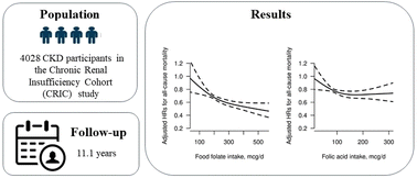 Graphical abstract: Relationship of dietary intake of food folate and synthetic folic acid intake from fortified foods with all-cause mortality in individuals with chronic kidney disease