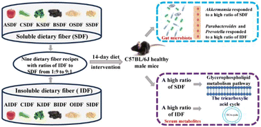 Graphical abstract: Insoluble/soluble fraction ratio determines effects of dietary fiber on gut microbiota and serum metabolites in healthy mice