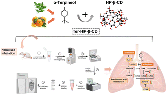 Graphical abstract: Reprogramming of arachidonic acid metabolism using α-terpineol to alleviate asthma: insights from metabolomics