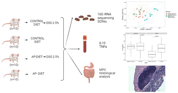 Graphical abstract: Gut microbiota modulation and effects of a diet enriched in apple pomace on inflammation in a DSS-induced colitis mouse model