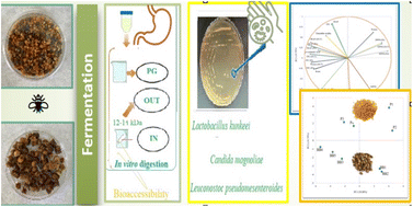 Graphical abstract: The process of pollen transformation into bee bread: changes in bioactivity, bioaccessibility, and microbial dynamics